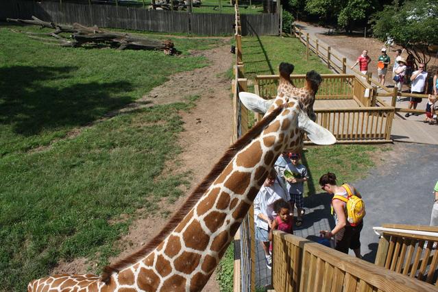 Elmwood Park Zoo